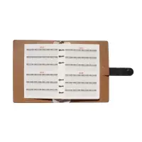 Органайзер на кольцах, C6, с хлястиком, 80л, линия, к/зам, Черный