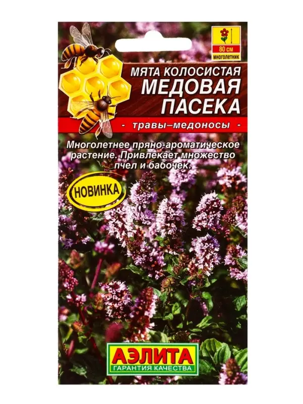 Семена Мята колосистая Медовая пасека Травы-медоносы, Ц/П,0,05 г