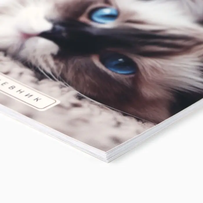 Дневник школьный 1-11 класс, в мягкой обложке, 40 л &laquo;Кошка&raquo;