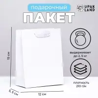 Пакет подарочный ламинированный &laquo;Белый&raquo;, S 12&times;15&times;5.5 см