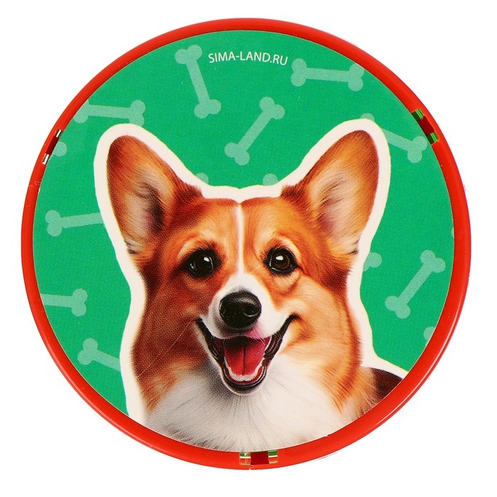 Пружинка - радуга &laquo;Котики-собачки&raquo; d.-5см, в шоубоксе, МИКС