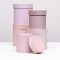 Набор шляпных коробок 5 в 1 "Пудра",20 &times; 20 &times; 20‒13,5 &times; 13,5 &times; 13,5 см