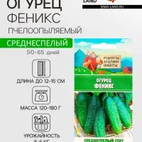 Семена Огурец &laquo;Феникс&raquo;, пчелоопыляемый, среднеспелый, 0.5 г
