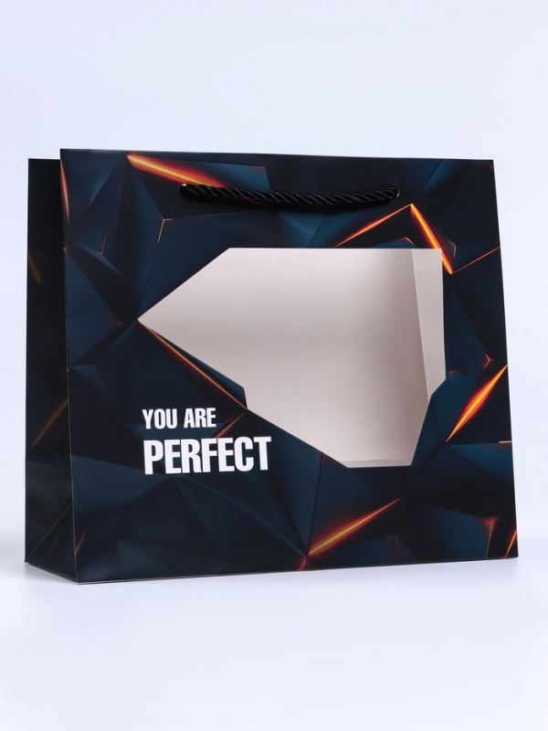 Пакет подарочный с окном "Perfect", 25 х 10 х 22 см