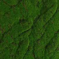 Мох искусственный, декоративный, полотно 1 &times; 1 м, рельефный, горный, зелёный, Greengo