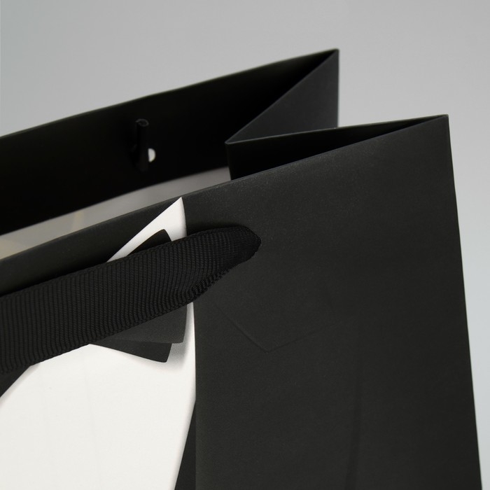 Пакет подарочный ламинированный вертикальный, упаковка, &laquo;Стиль&raquo;, ML 23 х 27 х 11,5 см