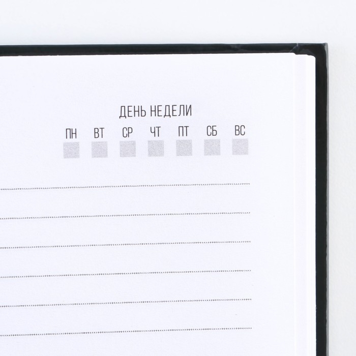 Ежедневник в твердой обложке А5, 80 &laquo;Душнила&raquo;