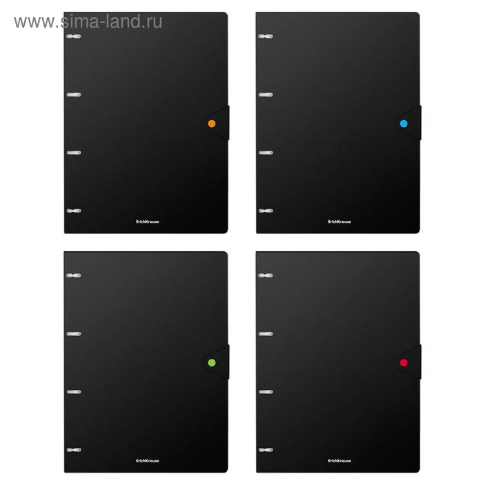 Тетрадь А4 на кольцах, 80 листов в клетку, ErichKrause Accent, пластиковая обложка, на кнопке, блок офсет 100% белизна, МИКС