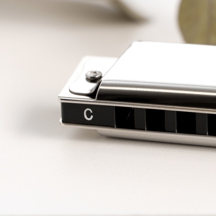 Губная гармошка Music Life T10 C диатоническая, 10 отверстий, с футляром