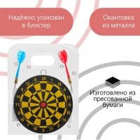 Дартс, мишень диаметром 15 см, 2 дротика