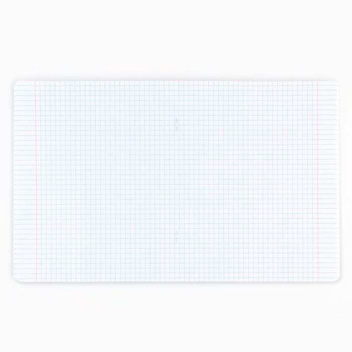 Тетрадь в клетку, 48 листов А5 на скрепке , внутренний блок №1 МИКС &laquo;1 сентября: Истинная любовь&raquo; ВД лак