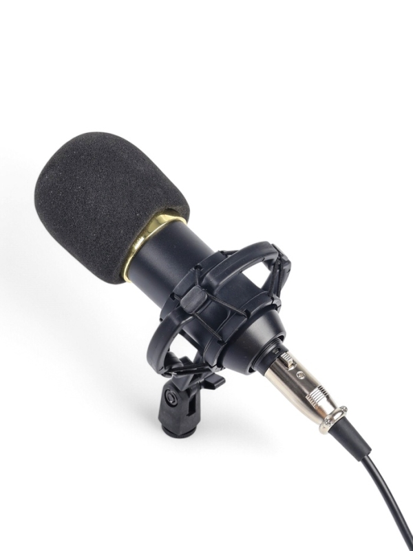 Микрофон конденсаторный Music Life золотой: кабель, ветрозащита, стойка