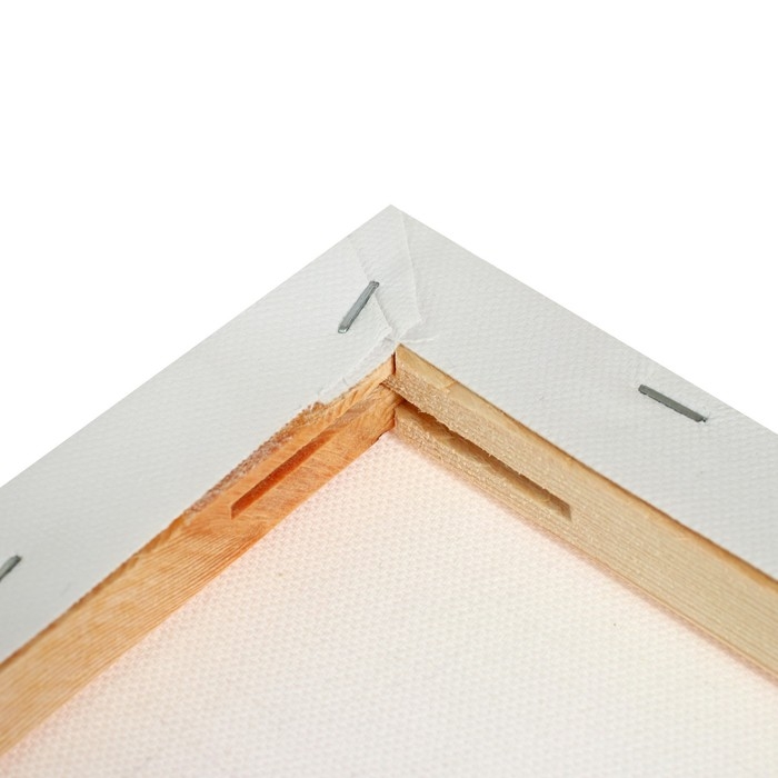 Холст на подрамнике, хлопок 100%, 1,6 х 50 х 90 см, акриловый грунт, среднезернистый, 380 г/м&sup2;