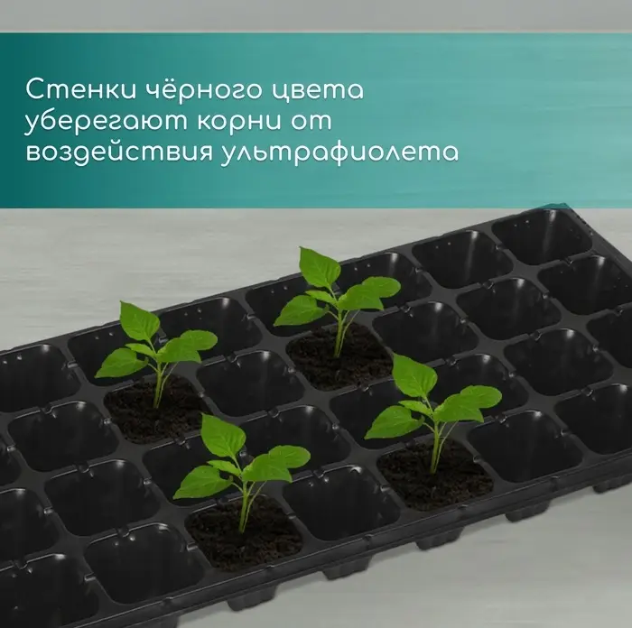Кассета для рассады, на 32 ячейки, по 110 мл, пластиковая, чёрная, 53.5&times;27&times;5.5 см, Greengo