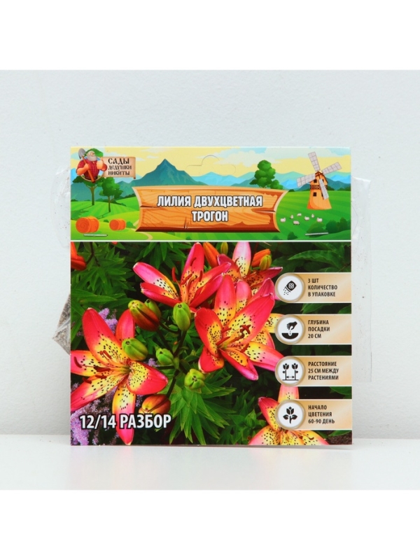 Лилия Двухцветная Trogon, луковица в пакете с перфорацией, р-р 12/14, 3 шт.