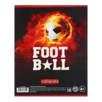 Тетрадь предметная 48 листов в клетку Calligrata, &laquo;Футбол. Английский язык&raquo;, обложка мелованный картон