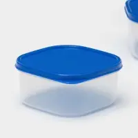 Набор контейнеров пищевых Доляна, квадратных, 2 шт: 450 мл, 700 мл, цвет голубой