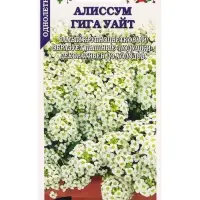 Семена Алиссум Гига Уайт /Сотка/ 0,01 г/*1800