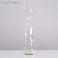 Пакет "Подарочный", с жестким дном, МИКС, 6 х 8 х 23,5 см