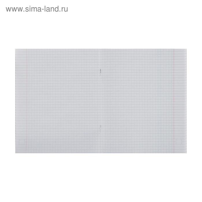 Тетрадь 48 листов в клетку Calligrata Neon, обложка мелованный картон, УФ-лак, блок офсет, МИКС