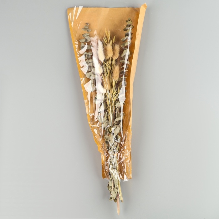 Сухоцветы &laquo;Мечта&raquo;, набор из 4 видов, 48 &times; 16 &times; 6 см