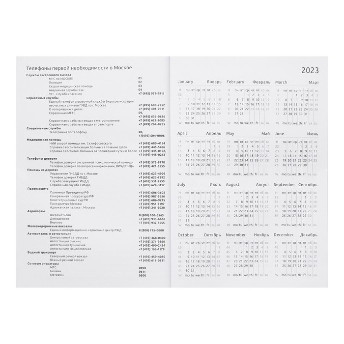 Ежедневник датированный 2024 года, А5, 176 листов, Attomex.Arkona, обложка бумвинил, ляссе, блок 70 г/м2, синий