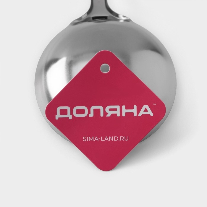 Половник из нержавеющей стали Доляна &laquo;Стандарт&raquo;, 100 мл, h=31 см, цвет серебряный