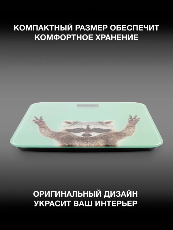 Весы напольные H-BS03589