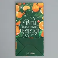 Пакет без ручек &laquo;Мечты обязательно сбудутся&raquo;, мандарины, 10 х 19.5 х 7 см, Новый год