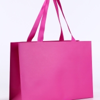 Пакет подарочный &laquo;Фуксия&raquo;, 28&times;20&times;10 см