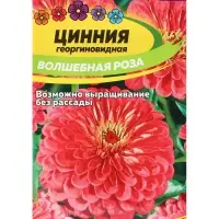 Семена цветов Цинния "Волшебная Роза", ц/п,  О, ц/п, 0,3 г.
