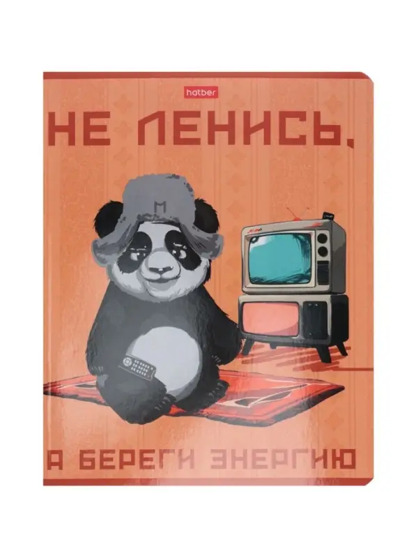 Тетрадь 48л кл Hatber "Мудрая панда", на скобе, скругл углы, 60-65г/м&sup2; 5В МИКС