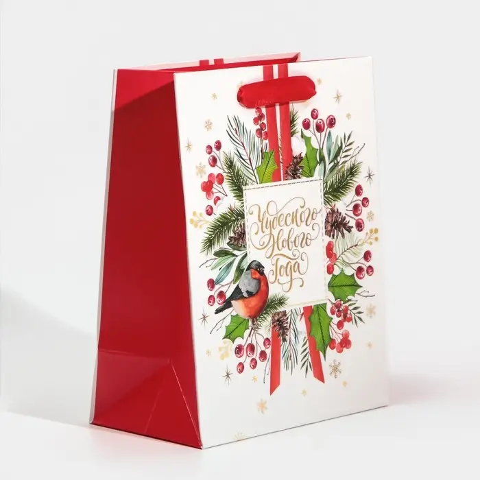 Пакет подарочный новогодний ламинированный &laquo;Чудесного Нового Года&raquo;, MS 18 х 23 х 10 см