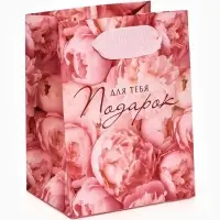 Пакет ламинированный &laquo;Подарок для тебя&raquo;, 9 &times; 12 &times; 6,5 см