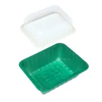 Мини-парник для рассады, 21&times;16&times;6.5, без вставок, пластик, Greengo