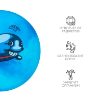 Мяч детский, d=25 см, 60 г, цвет МИКС