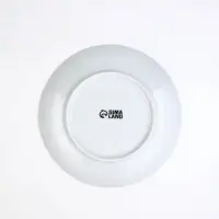 Тарелка плоская керамическая &laquo;Правильное питание&raquo;, d=20 см