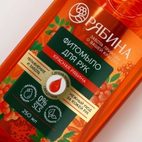 Мыло жидкое для рук, увлажнение и забота, аромат рябины, 250 мл, Рябина