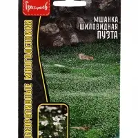 Семена цветов Мшанка Пузта шиловидная (Puzta)  0,01г. 12.29 г.