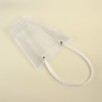 Сумка для цветов прозрачная, влагостойкая, 26х24х12 см