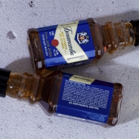 Гель для душа во флаконе виски &laquo;Богатства!&raquo;, 100 мл, аромат пряного виски, Новый Год