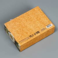 Коробка подарочная, упаковка, &laquo;Сияй&raquo;, 16,5 х 12,5 х 5 см