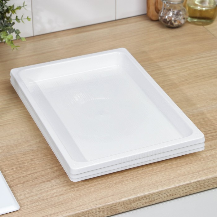 Набор подносов для заморозки пельменей, 36&times;25&times;3 см, 3 шт, цвет МИКС