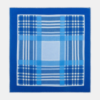 Платки носовые мужские Этель 30*30 см,(набор 12 шт,) цв.Голубой, рис. МИКС 100% хл