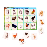 Развивающая игра на липучках &laquo;&lrm;Животные фермы&raquo;,&lrm; по методике Г. Домана