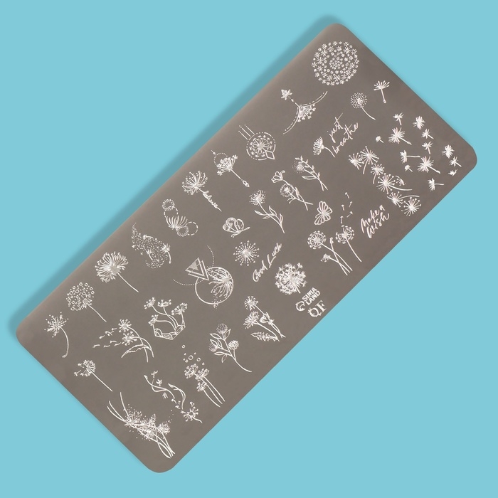 Диск для стемпинга металлический &laquo;Одуванчики&raquo;, 12 &times; 6 см