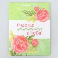 Пакет подарочный ламинированный, упаковка, &laquo;Счастье начинается с тебя&raquo;, MS 18 х 23 х 8 см