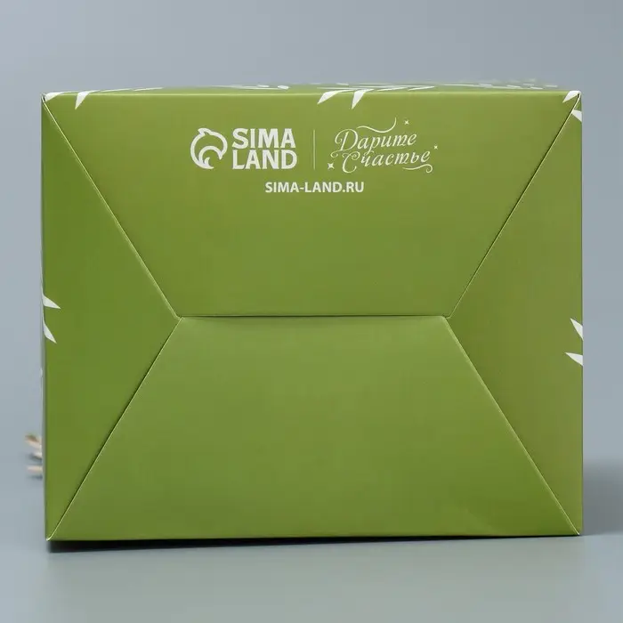 Коробки для мини букетов &laquo;Жирафик&raquo;, 12 &times; 20 &times; 10 см