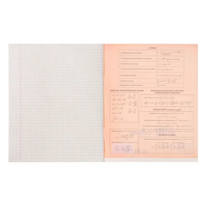 Тетрадь предметная 36 листов в клетку Calligrata &laquo;MonoTone. Алгебра&raquo; обложка мелованная бумага