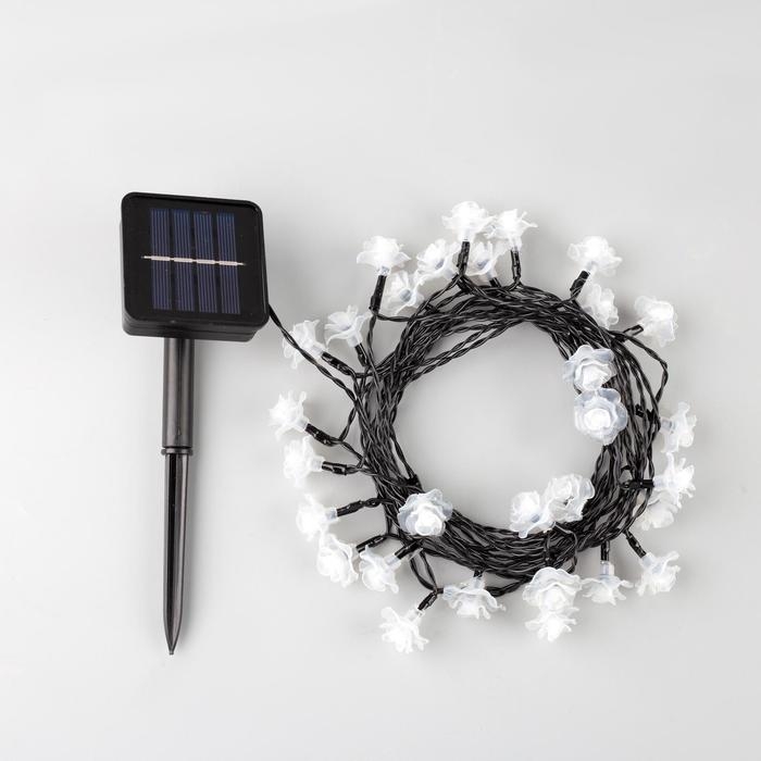 Гирлянда &laquo;Нить&raquo;, 4.5 м, с насадками в виде роз, IP44, 30 LED, 2 режима, солнечная батарея, тёмная нить, свечение красное